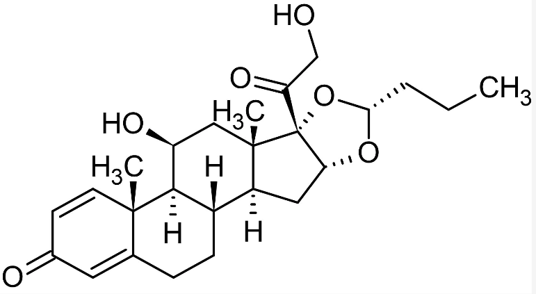 Budesonide: சுவாச நோய்களுக்கான சிகிச்சையில் ஒரு சிறந்த தயாரிப்பு