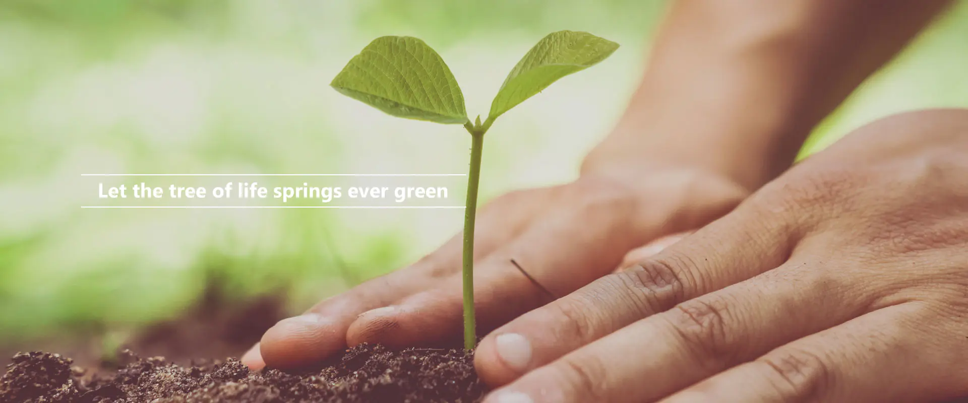 வாழ்க்கை மரம் என்றும் பசுமையாக துளிர்க்கட்டும்